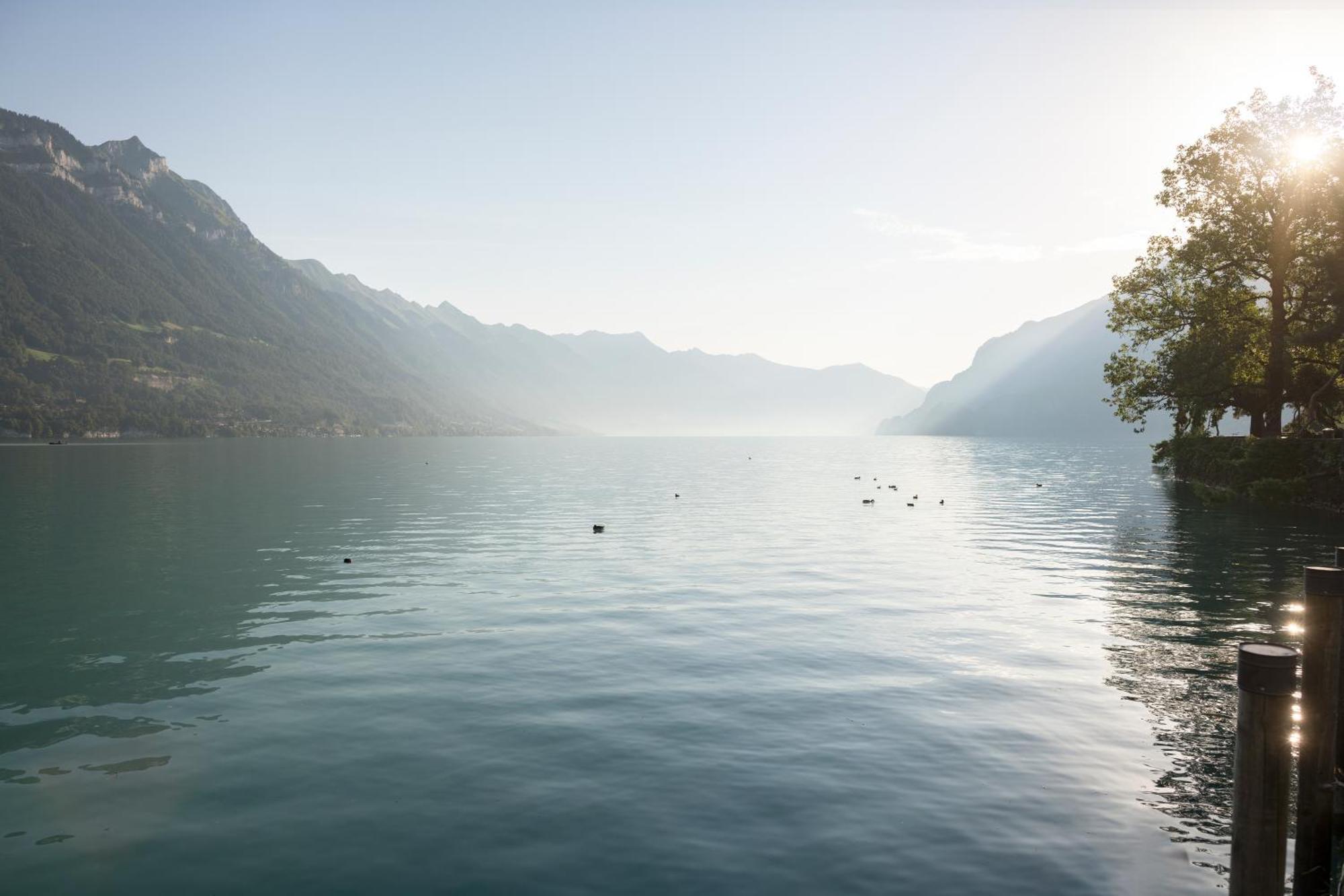 Seiler au Lac Bönigen Exterior foto